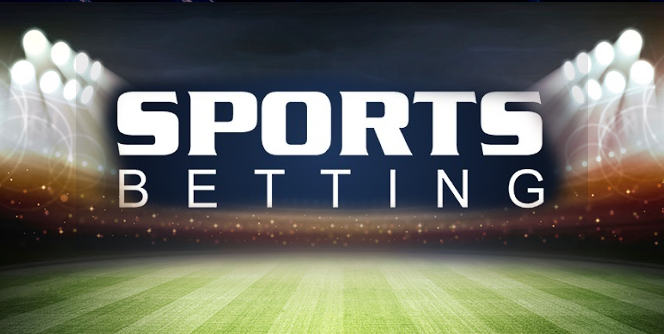 Betwinner Your Gateway to Online Betting Success
