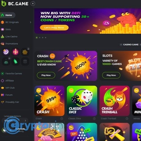 Exploring the Exciting World of BC.Game Crypto Casino 1058233987